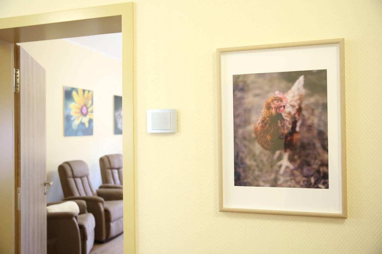 Tierische und florale Fotomotive für Pflegeheim in Niesky