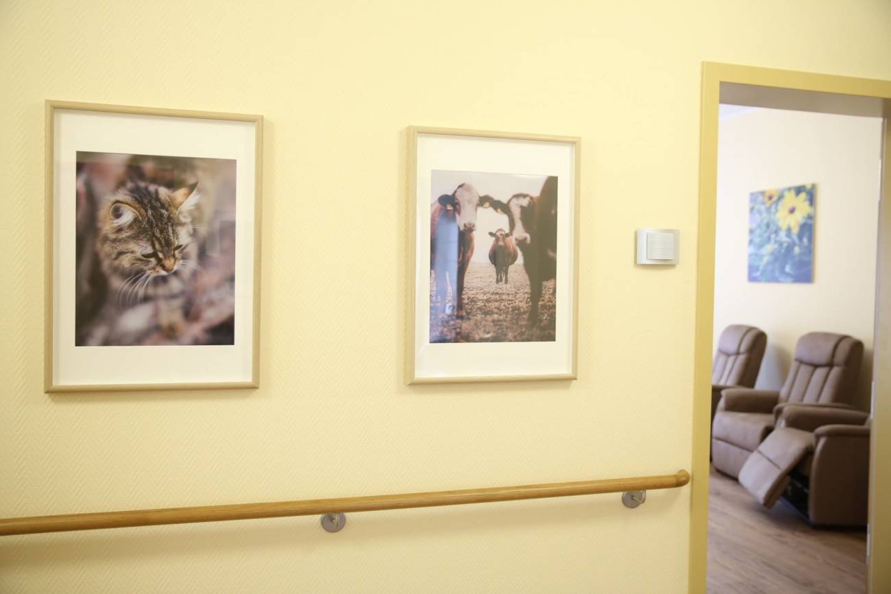 Tierische und florale Fotomotive für Pflegeheim in Niesky