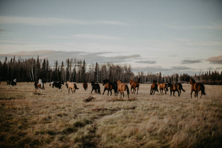 Imagefotografie auf der Big Creek Lodge in Canada