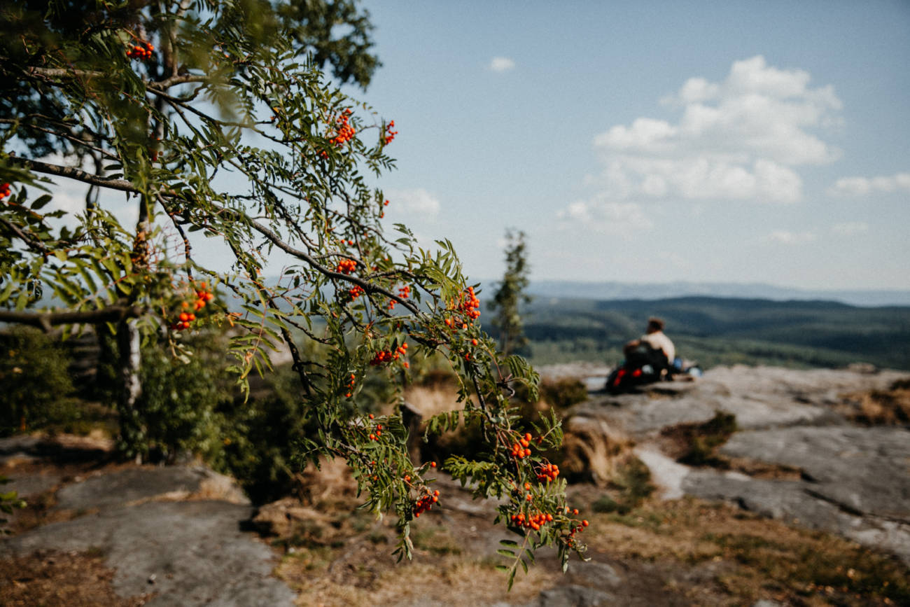 Sommerabenteuer Forststeig in der sächsisch- und böhmischen Schweiz