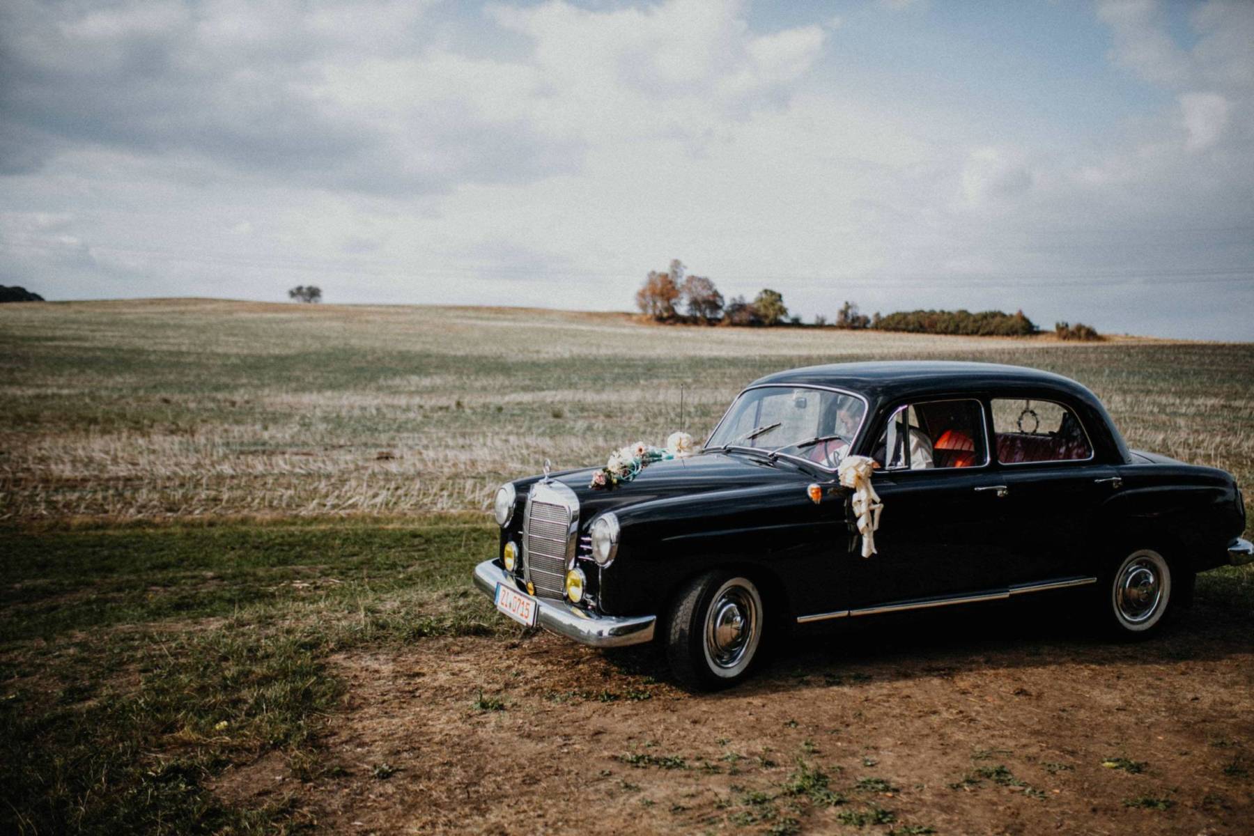 Unsere Hochzeit - 1567057